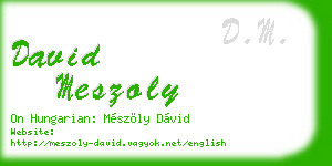david meszoly business card