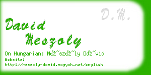 david meszoly business card
